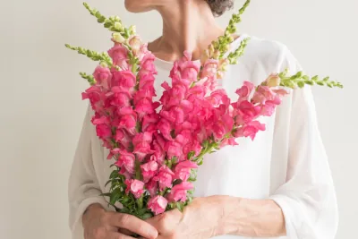 Menopauza a wsparcie ginekologiczne